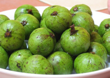 Trái sấu Hà Nội
