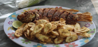 Cá chiên Yojoa frito